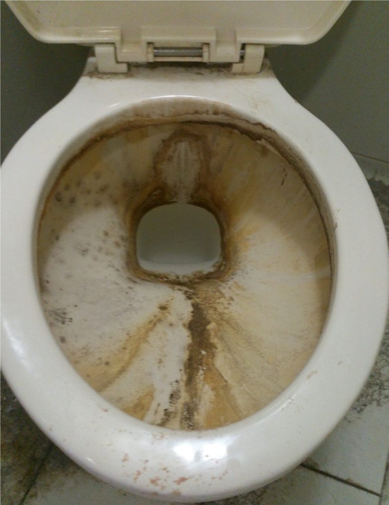 トイレの臭いや黒ずみ尿石汚れ掃除方法 おすすめ洗剤道具7選